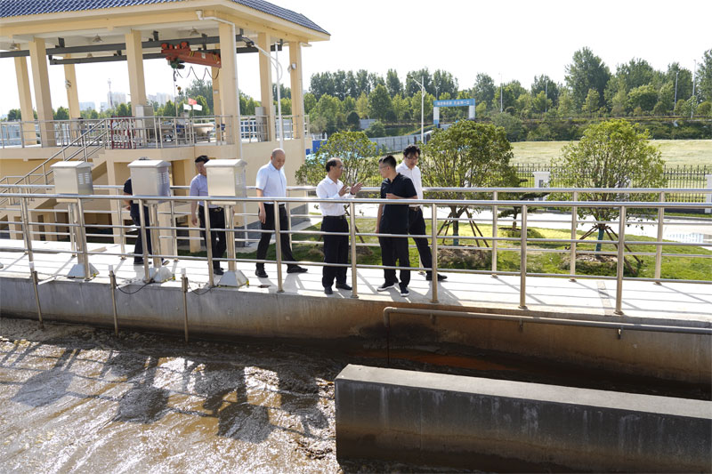 20220531_162641_245482.jpg 110.jpg